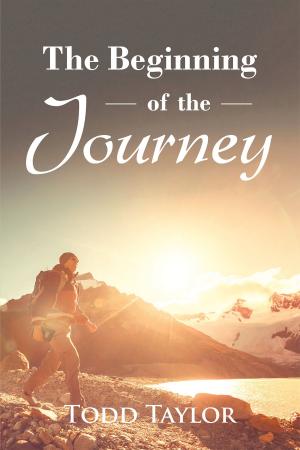 Cover of the book The Beginning of the Journey by Ann Lapp- Haught