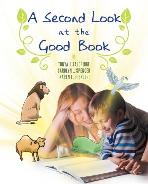 Cover of the book A Second Look at the Good Book by Albert Mordechai