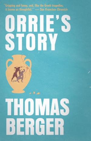 Cover of the book Orrie's Story by Martin J. Smith