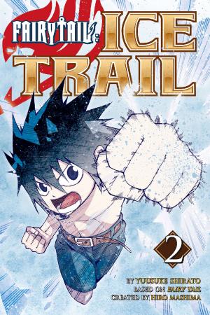 Cover of the book Fairy Tail Ice Trail by CLAMP