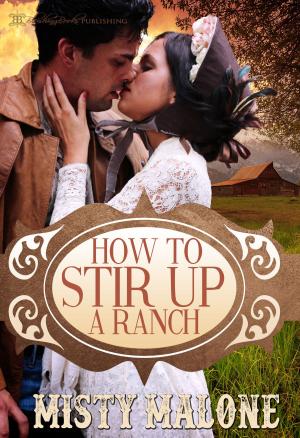Cover of the book How to Stir Up a Ranch by Alyssa Bailey