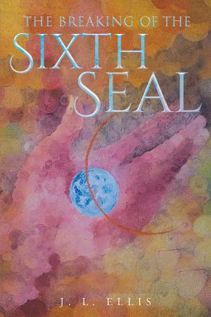 Cover of the book The Breaking of the Sixth Seal by Anne Davey Koomans