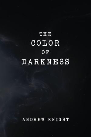 Cover of the book The Color of Darkness by David L. R. Stein