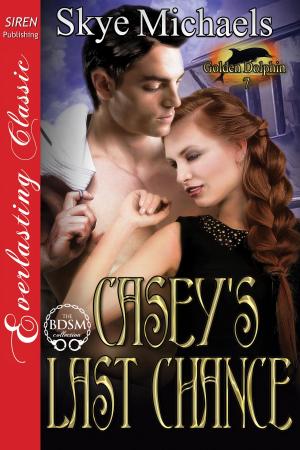 Cover of the book Casey's Last Chance by Lynn Hagen, Stormy Glenn