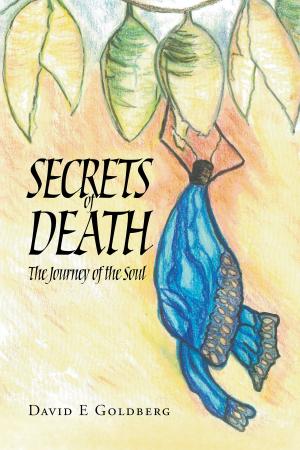 Book cover of Secrets of Death: The Journey of the Soul