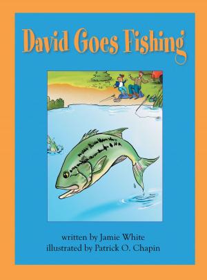Cover of the book David Goes Fishing by J. Carroll Anderson