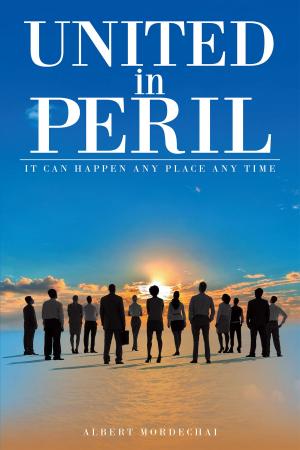 Cover of the book United in Peril: It Can Happen Any Place Any Time by Jamie White