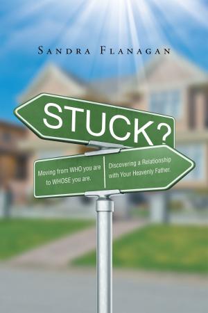 Cover of the book Stuck? Moving from WHO you are to WHOSE you are. Discovering a Relationship with Your Heavenly Father by Karen  Spowal-McKitrick