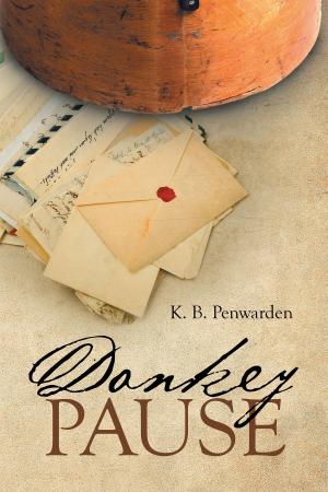 Cover of the book Donkey Pause by Christopher Gilpin
