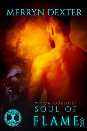 bigCover of the book Soul of Flame (Wiccan Haus #15) by 