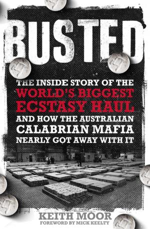 Cover of the book Busted by David McRobbie