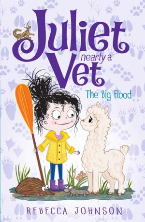 Book cover of The Big Flood: Juliet, Nearly a Vet (Book 11)