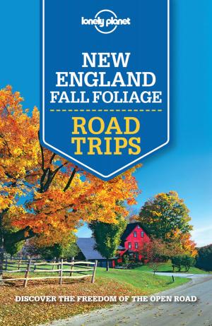 Book cover of Lonely Planet New England Fall Foliage Road Trips