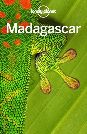 Book cover of Lonely Planet Madagascar