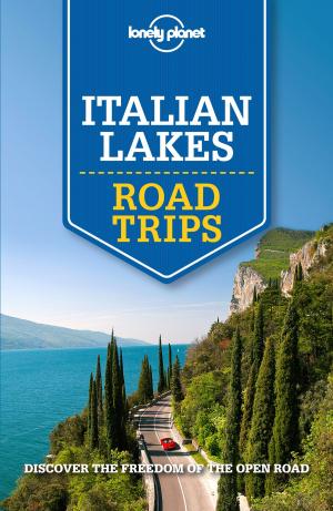 Book cover of Lonely Planet Italian Lakes Road Trips