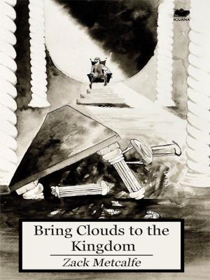 bigCover of the book Bring Clouds to the Kingdom by 