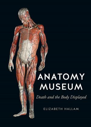 Cover of the book Anatomy Museum by Peter Rowe