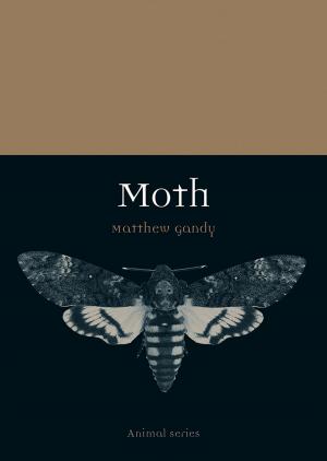 Cover of the book Moth by Ronald H. Fritze
