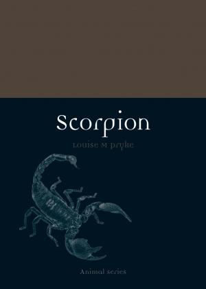 Cover of the book Scorpion by Stephen F. Eisenman