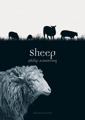 Cover of the book Sheep by Sylvia Lovegren