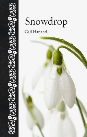 Cover of the book Snowdrop by Nicholas Caistor