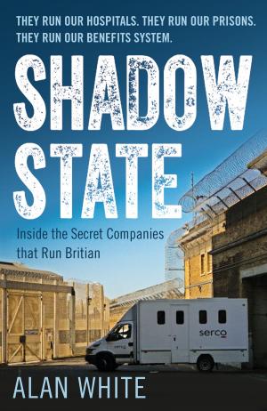 Cover of the book Shadow State by Mohammad Hashim Kamali