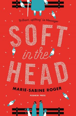 Cover of the book Soft in the Head by Terry James