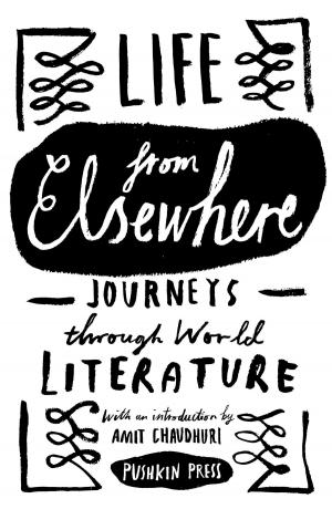 Cover of the book Life from Elsewhere by Friedrich Holderlin