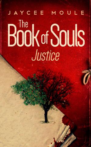 Cover of the book The Book of Souls - Justice by Karen Simpson Nikakis