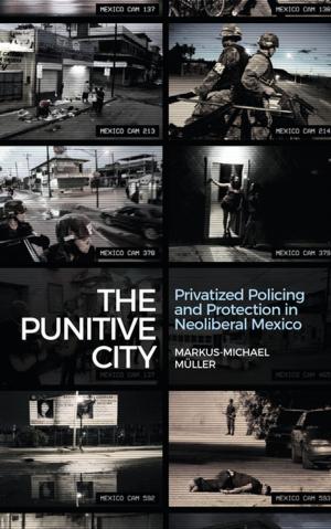 Cover of the book The Punitive City by Anne Kaun