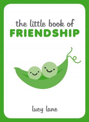 Cover of the book The Little Book of Friendship by Jonno Turner