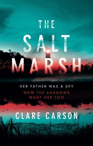 Book cover of The Salt Marsh