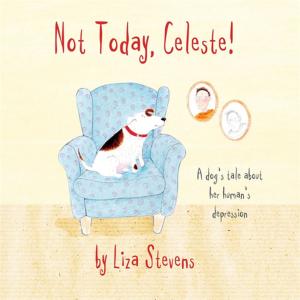 Cover of Not Today, Celeste!