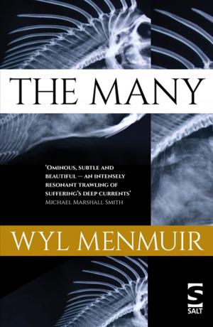Cover of the book The Many by Stefan Mohamed