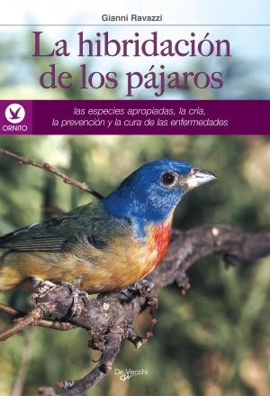 bigCover of the book La hibridación de los pájaros by 