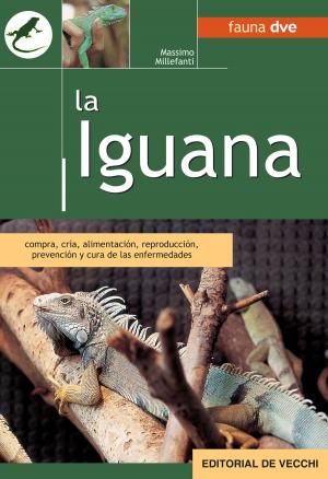 Cover of the book La iguana by Roberto Fabbretti