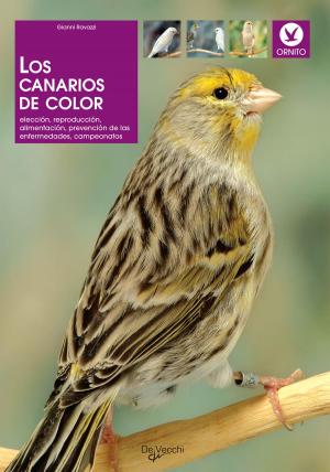 Cover of the book Los canarios de color by Costanza Caraglio
