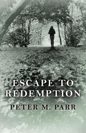Cover of the book Escape To Redemption by Stephen Paul Chong