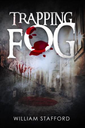 Cover of the book Trapping Fog by Sheila Blackburn