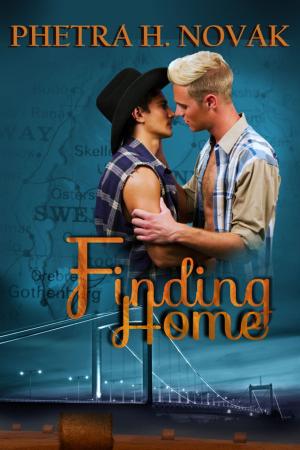 Cover of the book Finding Home by Debbie McGowan