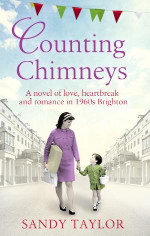 Cover of the book Counting Chimneys by Casey Kelleher