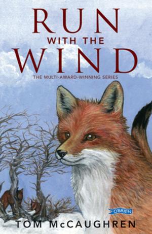 Cover of the book Run with the Wind by Judi Curtin