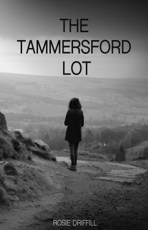 Book cover of The Tammersford Lot