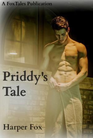 Cover of the book Priddy's Tale by Matt Hilton