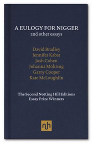 Book cover of A Eulogy for Nigger and Other Essays