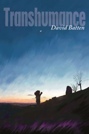 bigCover of the book Transhumance by 