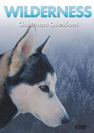 Cover of the book Wilderness Classroom Questions by Amy Farrell