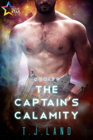 Cover of the book The Captain's Calamity by Christine Danse