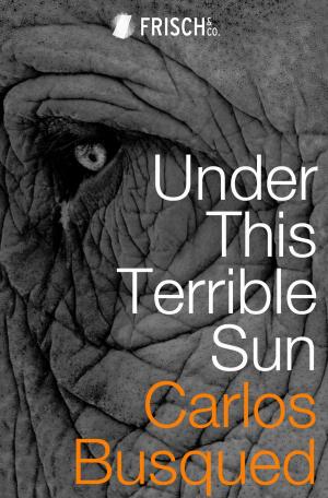 Cover of Under This Terrible Sun by Carlos Busqued, Canelo