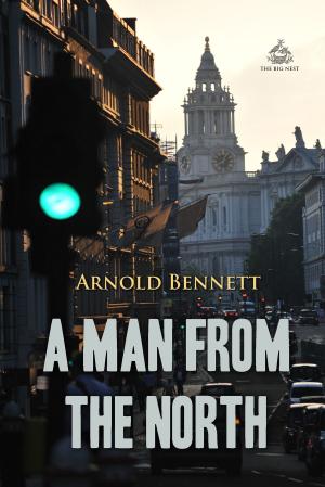 Cover of the book A Man from the North by Warren Hilton